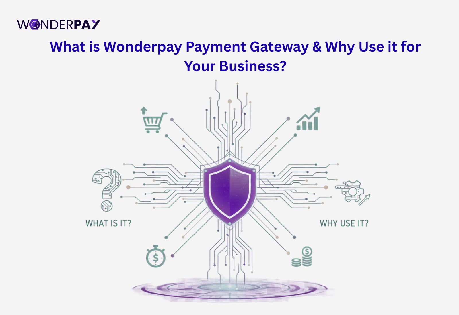 Why Choose Wonderpay Payment Gateway for Your Business